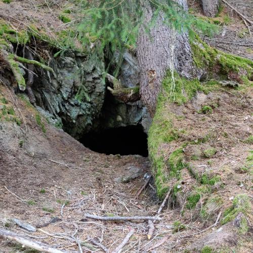 Eingang zur Höhle in der Früher vermutlich Eisenspat abgebaut wurde ...