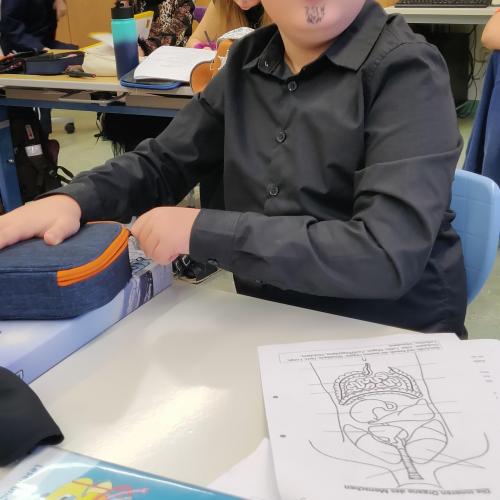 Polizist 3. Schulstufe