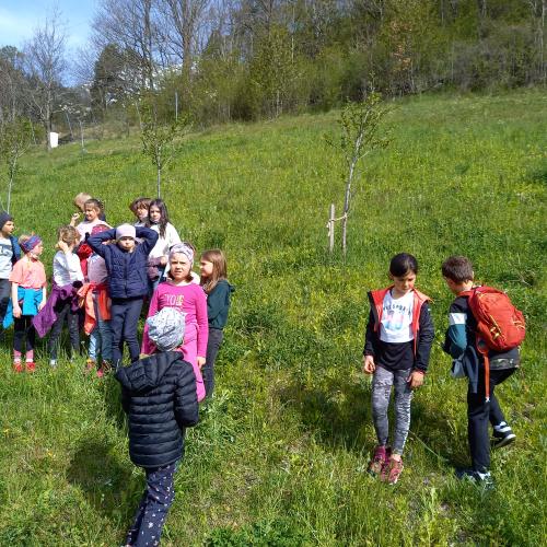 Kinder Bienenexkursion