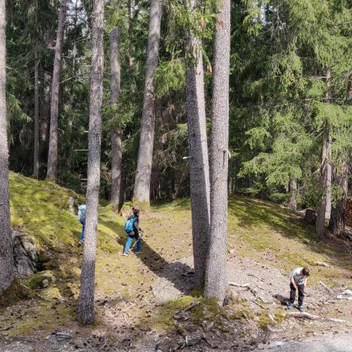 Fangenspiel im Wald