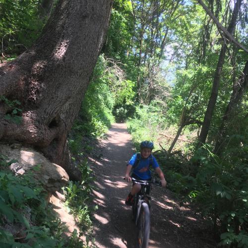 Kinder fahren am Trail