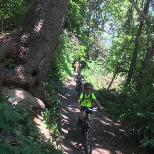 Kinder fahren am Trail