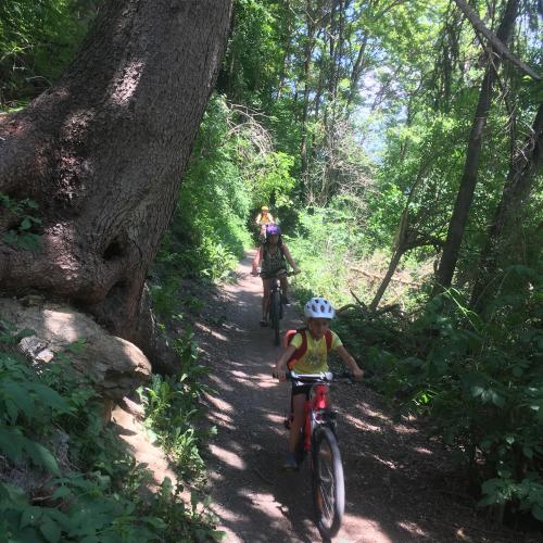 Kinder fahren am Trail