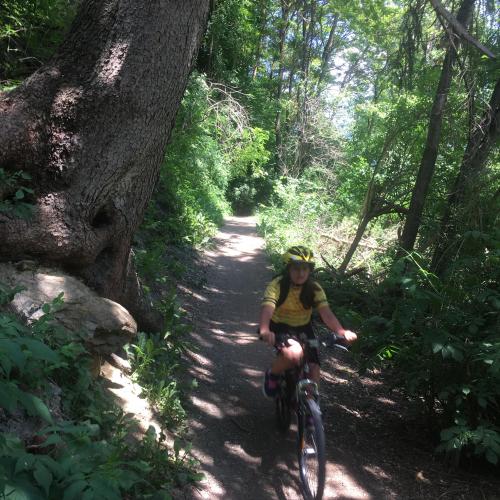 Kinder fahren am Trail