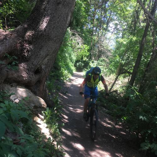 Kinder fahren am Trail