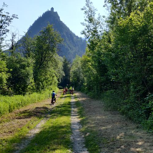 Radweg mit Kronburg im Hintergrund