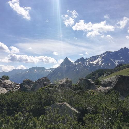 Boulderlandschaft