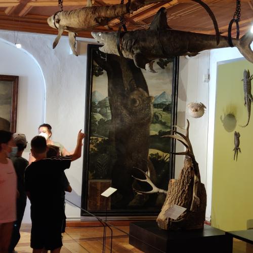 © av Kuriositätenkabinett auf Schloss Ambras 2