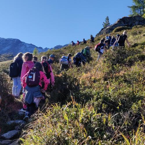 Hütte im Blick
