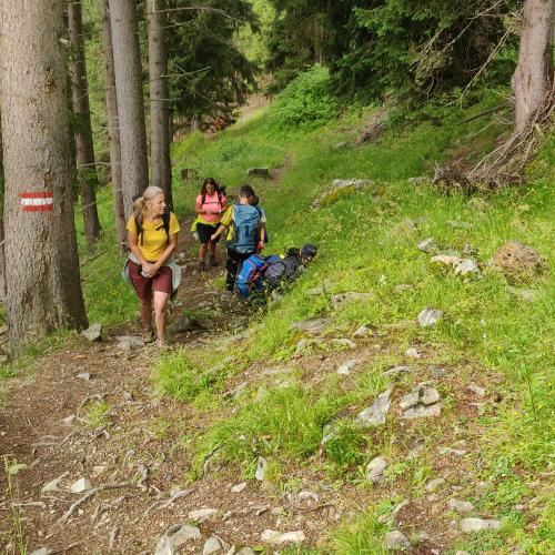 Am Weg zur Hütte 2