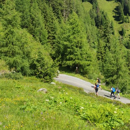 Wanderung zur Hütte 1