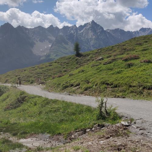 Hütte in Sicht 3