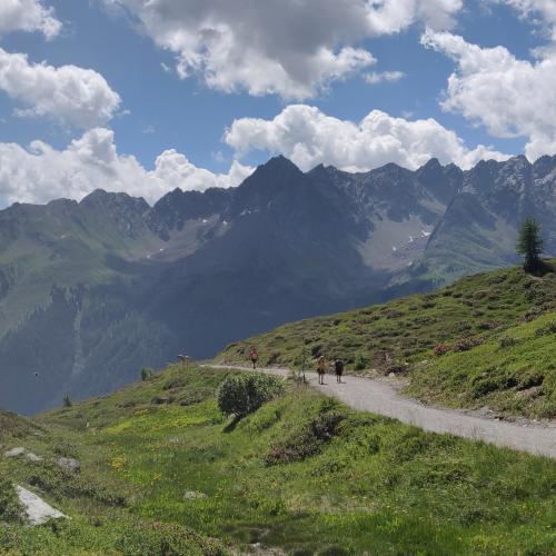 Hütte in Sicht 3