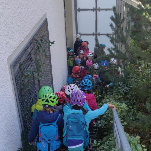 © av Zammer Lochputz 1