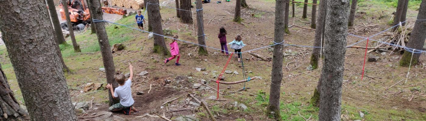 Im Wald 6