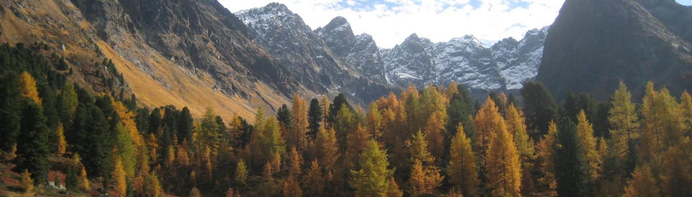 Bergli Alpe