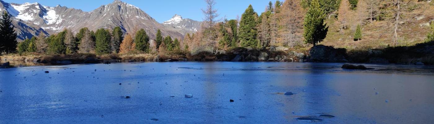 Berglisee