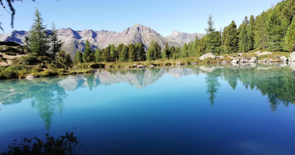 Berglisee