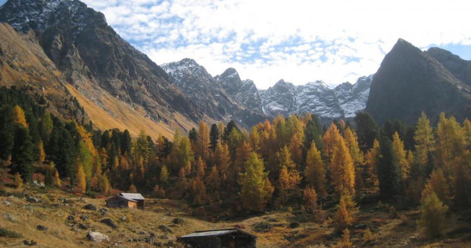 Bergli Alpe