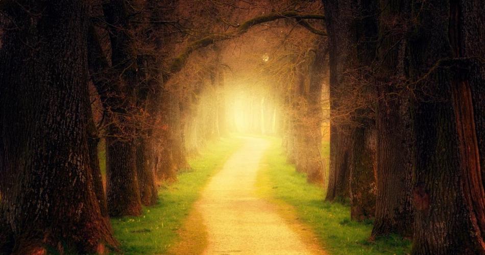 Lichtblick